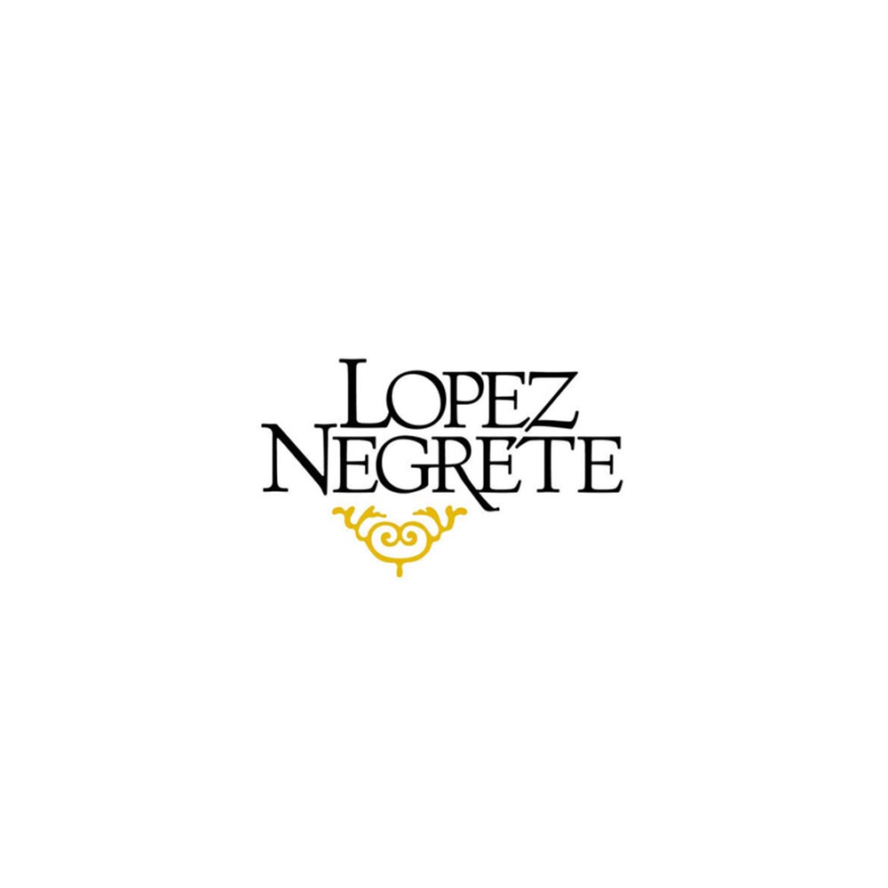 Housto Corporate Event Bands Lopez Negrete